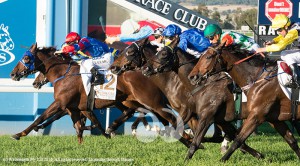 Pajaro wins the 2016 Emirates Scone Cup ridden by Tim Clark: Photography by Katrina Partridge.